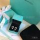 AAA Replica Tiffany And Co Paloma Picasso Loving Heart Earrings (7)_th.jpg